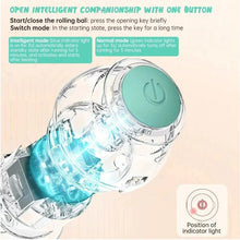 Load image into Gallery viewer, USB Charging Automatic 360 Degree Automatic Pet Rolling Ball For Puppy Cats Kitten - Blue