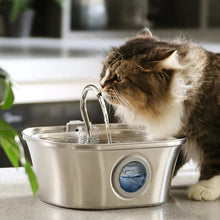 Load image into Gallery viewer, 3.2L Stainless Cat Water Fountain With Water Level Window