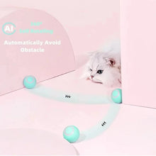 Load image into Gallery viewer, USB Charging Automatic 360 Degree Automatic Pet Rolling Ball For Puppy Cats Kitten - Blue
