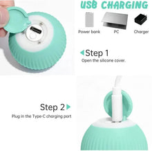 Load image into Gallery viewer, USB Charging Automatic 360 Degree Automatic Pet Rolling Ball For Puppy Cats Kitten - Blue
