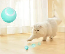 Load image into Gallery viewer, USB Charging Automatic 360 Degree Automatic Pet Rolling Ball For Puppy Cats Kitten - Blue
