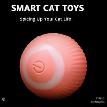 Load image into Gallery viewer, USB Charging Automatic 360 Degree Automatic Pet Rolling Ball For Puppy Cats Kitten - Pink
