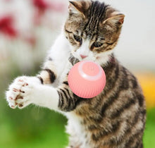 Load image into Gallery viewer, USB Charging Automatic 360 Degree Automatic Pet Rolling Ball For Puppy Cats Kitten - Pink
