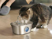 Load image into Gallery viewer, 3.2L Stainless Cat Water Fountain With Water Level Window

